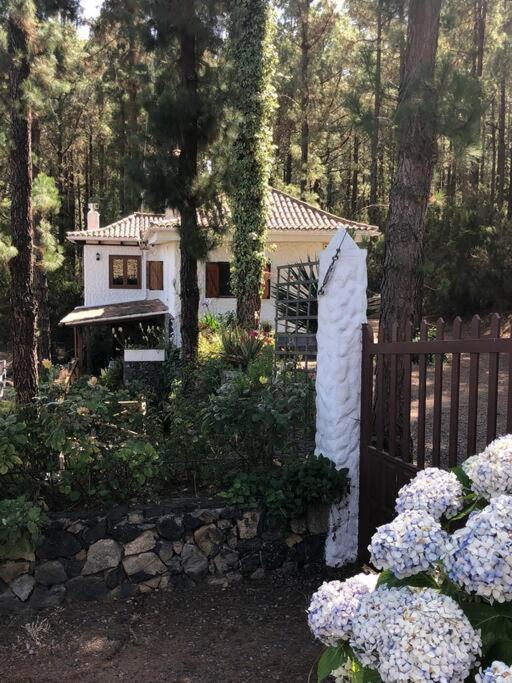 Вилла Floral Garden House Икод-де-лос-Винос Экстерьер фото