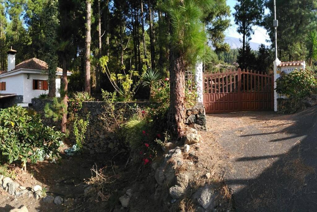 Вилла Floral Garden House Икод-де-лос-Винос Экстерьер фото